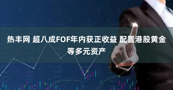 热丰网 超八成FOF年内获正收益 配置港股黄金等多元资产