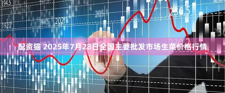 配资猫 2025年7月28日全国主要批发市场生菜价格行情