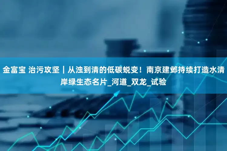 金富宝 治污攻坚｜从浊到清的低碳蜕变！南京建邺持续打造水清岸绿生态名片_河道_双龙_试验