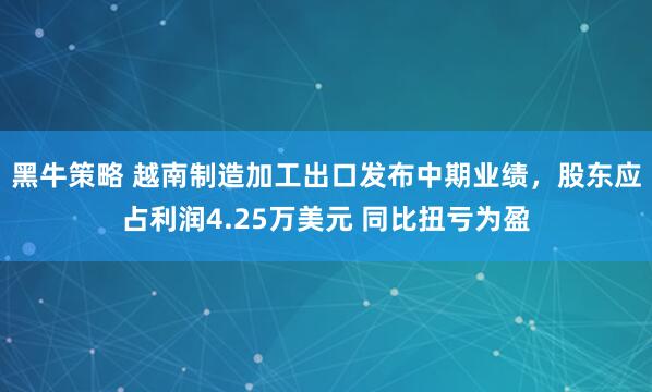 黑牛策略 越南制造加工出口发布中期业绩，股东应占利润4.25万美元 同比扭亏为盈